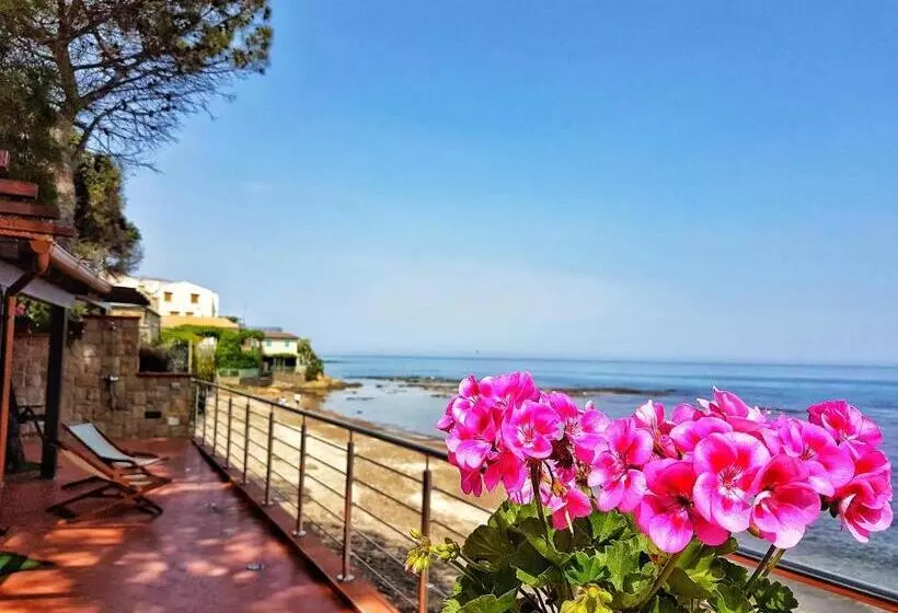 پانسیون Brezza Marina Guesthouse
