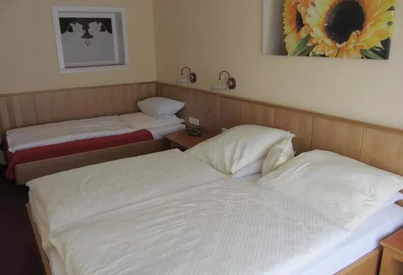 Pension Zur Alten Schmiede