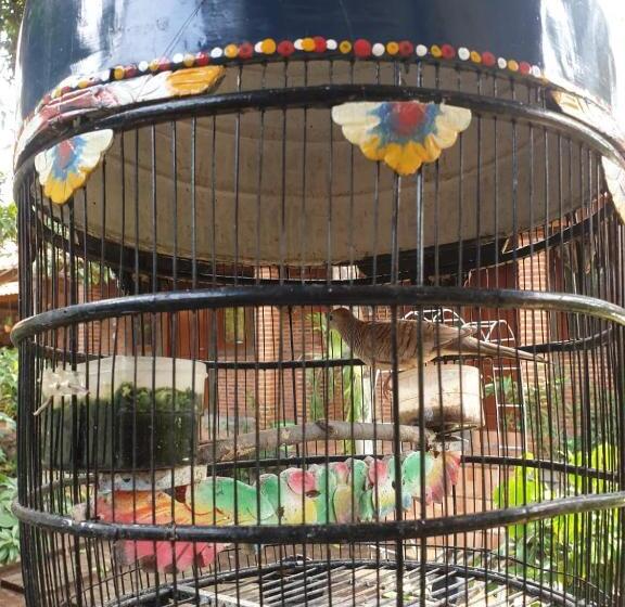 旅馆 Nita's Homestay Banyuwangi