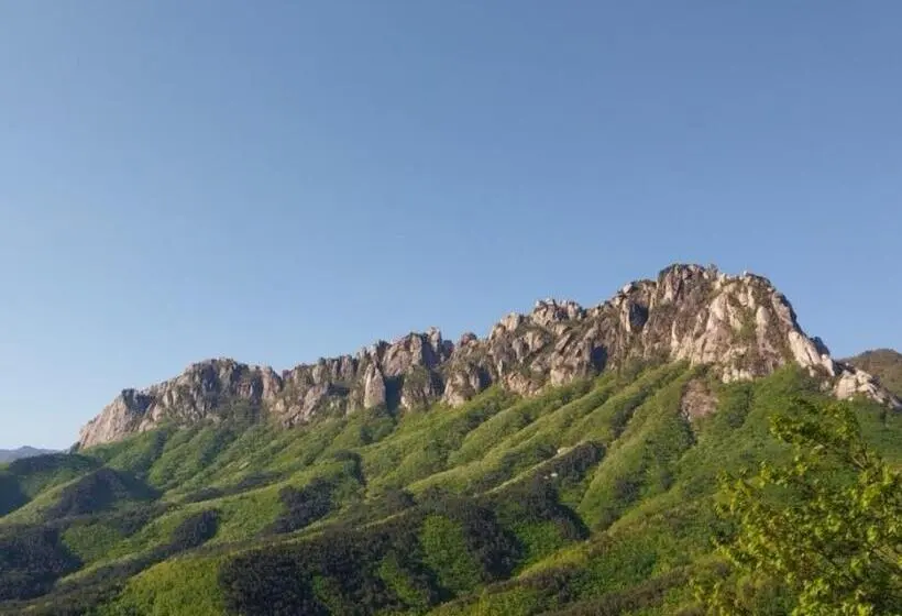 モーテル Sokcho Hotel Oasis