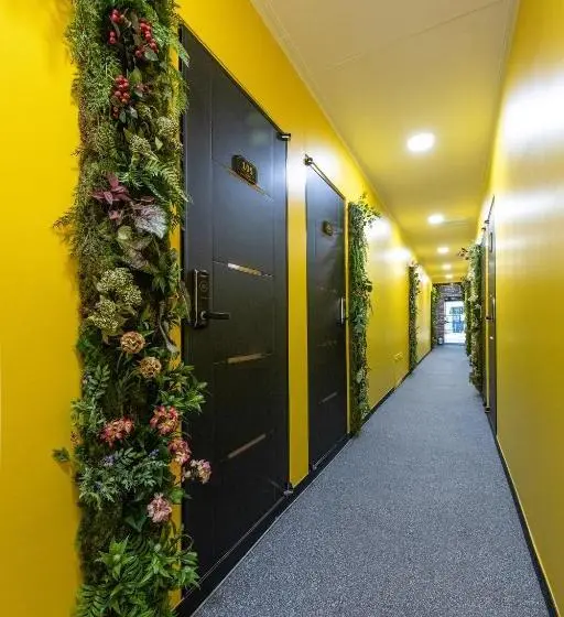 モーテル Sokcho Hotel Oasis