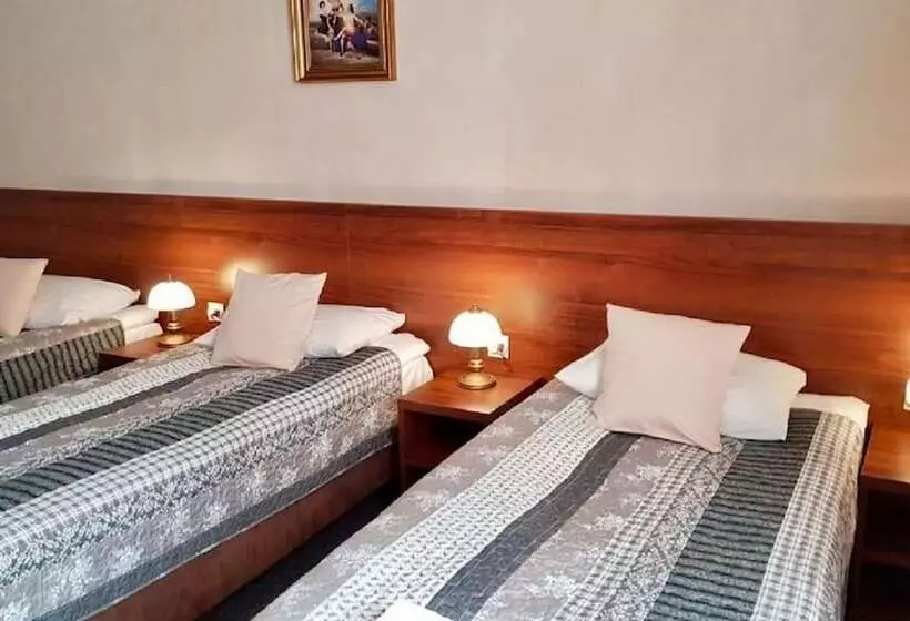 ペンション Byczy Rog Noclehy Na Hranici