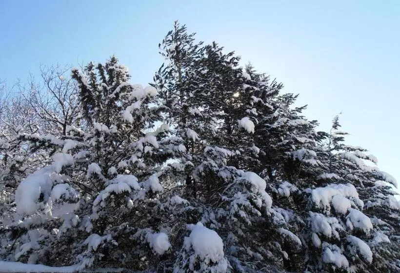 צימר Il Castello