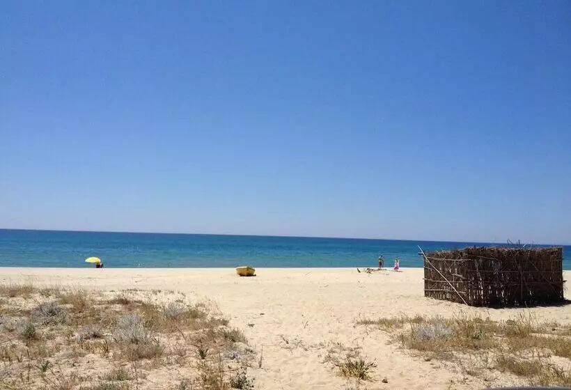 ホテル Agriturismo La Casa Di Botro