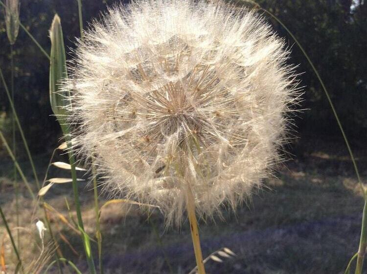 ホテル Agriturismo La Casa Di Botro