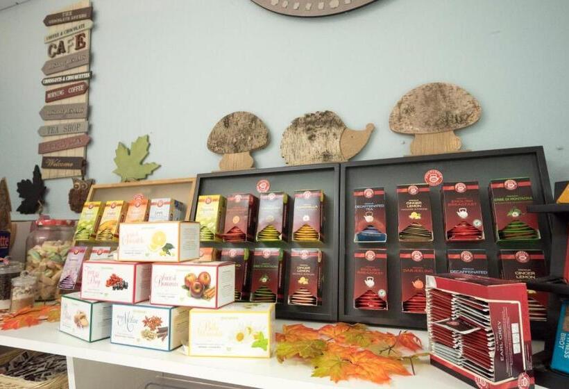 호텔 Albergo Serena