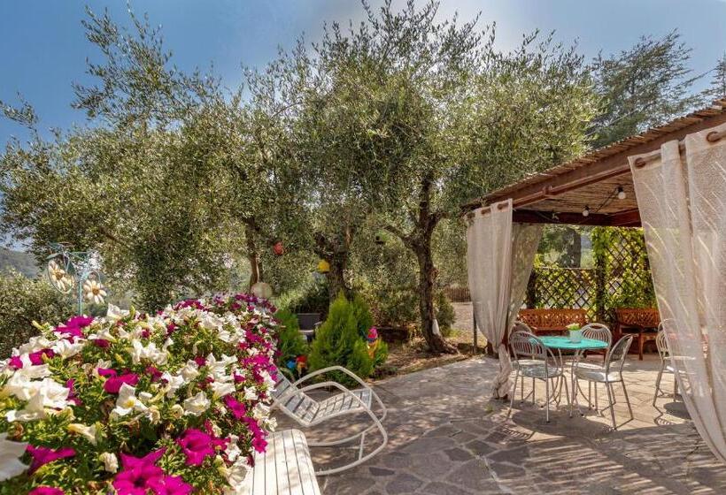 호텔 Albergo Serena