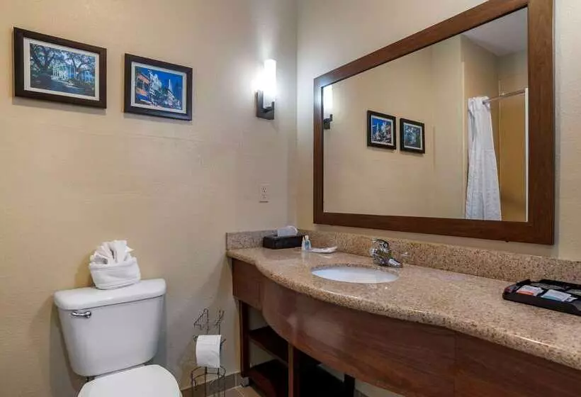 فندق Comfort Suites Mobile West Tillmans Corner