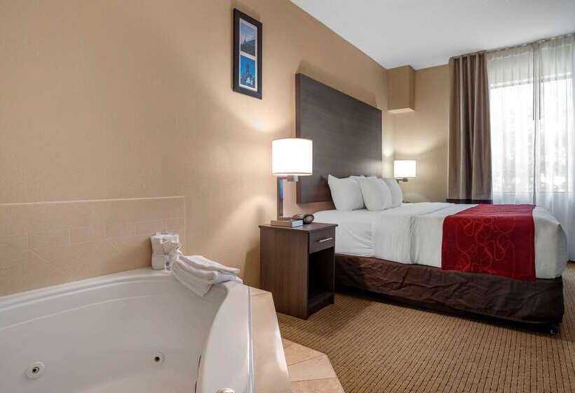 호텔 Comfort Suites Mobile West Tillmans Corner