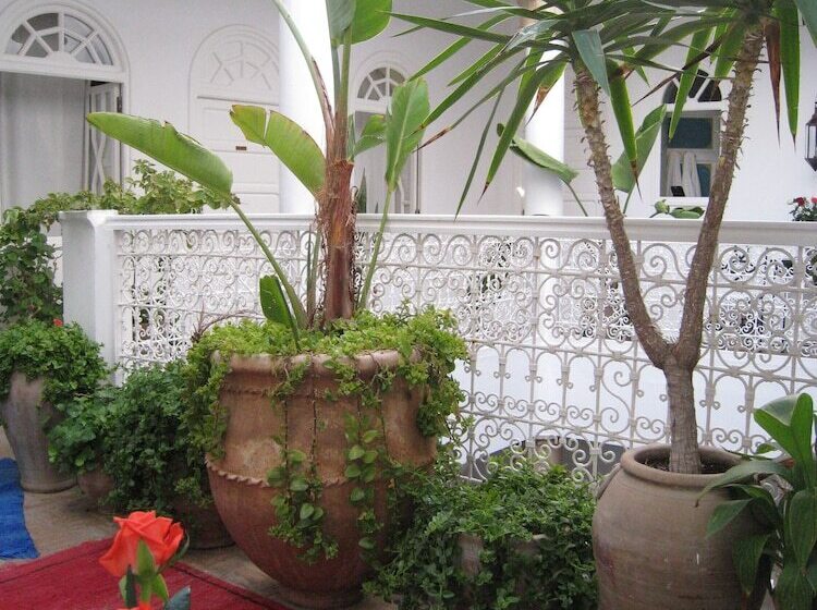 فندق Dar Loulema