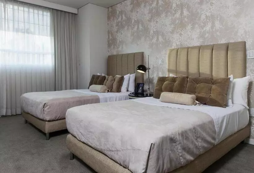 ホテル Gamma Morelia Beló