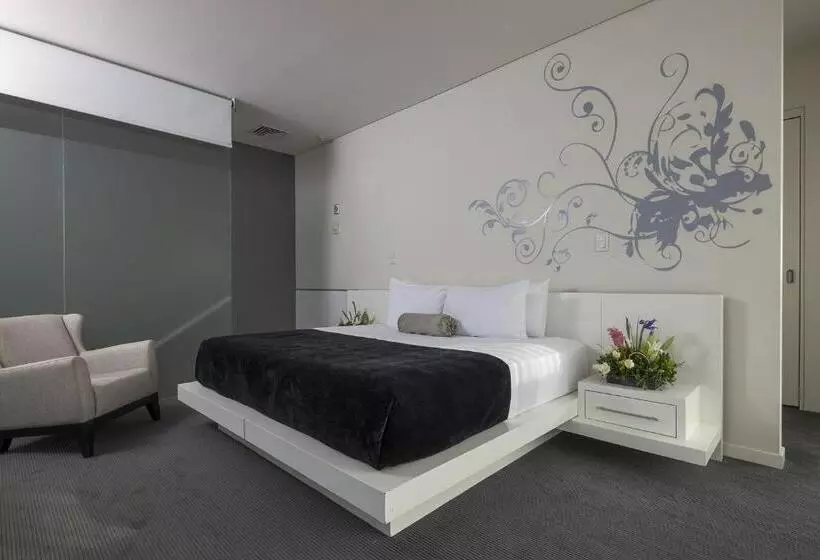 ホテル Gamma Morelia Beló