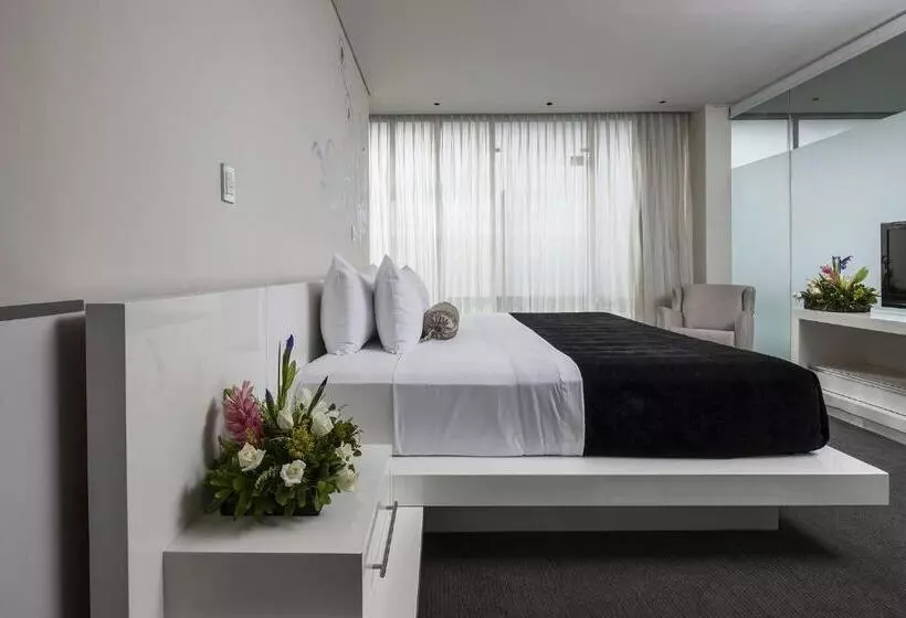 ホテル Gamma Morelia Beló