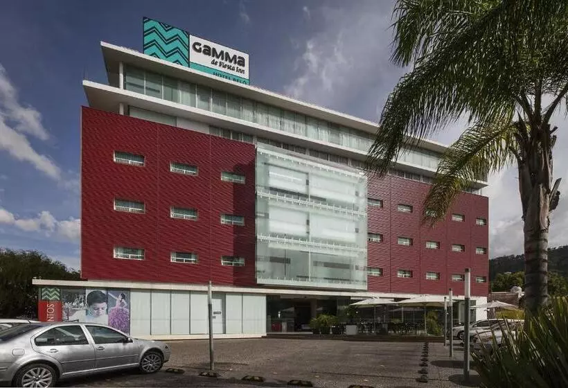 ホテル Gamma Morelia Beló