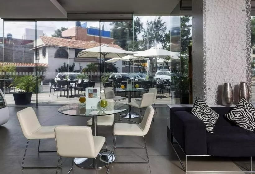 ホテル Gamma Morelia Beló