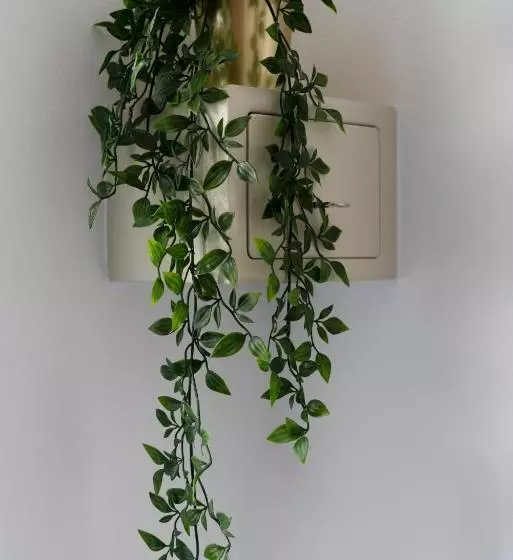 هتل Merulana Star