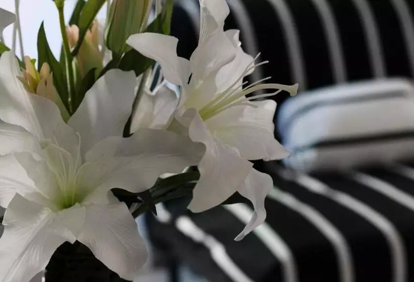 هتل Merulana Star