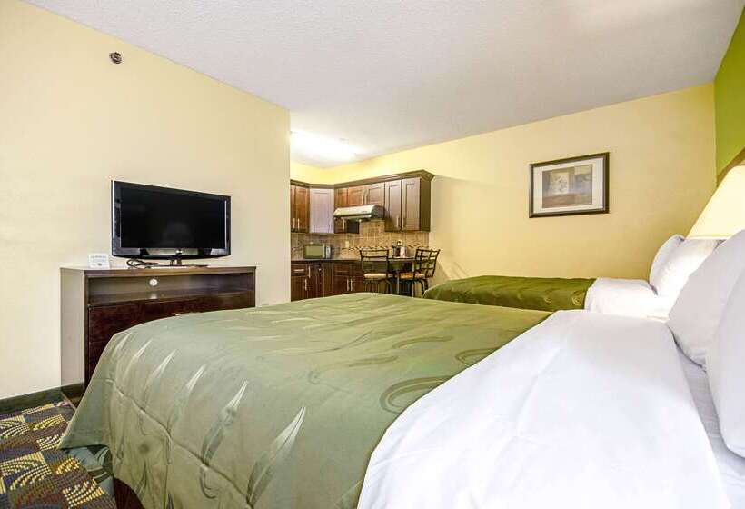 ホテル Quality Inn & Suites Glenmont  Albany South