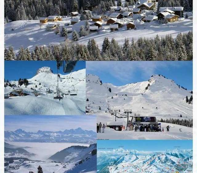Les Terrasses Du Mont Blanc