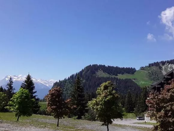 Les Terrasses Du Mont Blanc