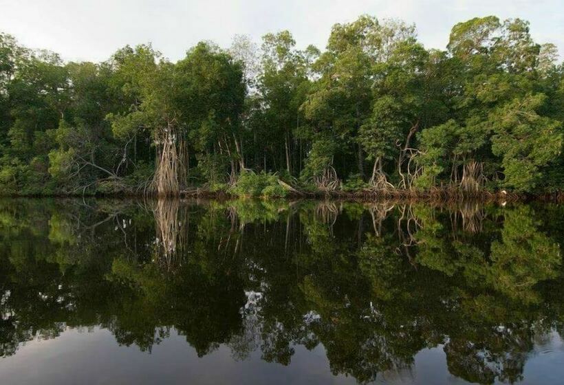 호텔 El Canal Chocohuital