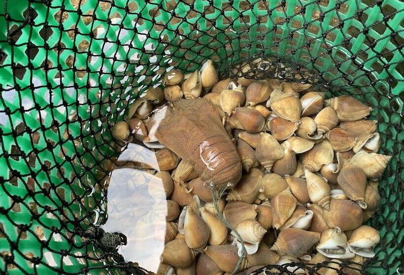 בית מלון כפרי Koh Jum Aosi Beach View