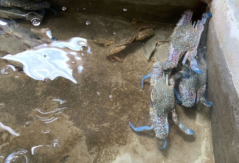 בית מלון כפרי Koh Jum Aosi Beach View