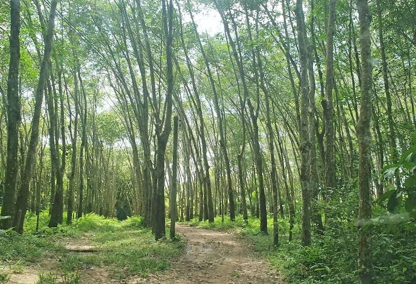 בית מלון כפרי Koh Jum Aosi Beach View