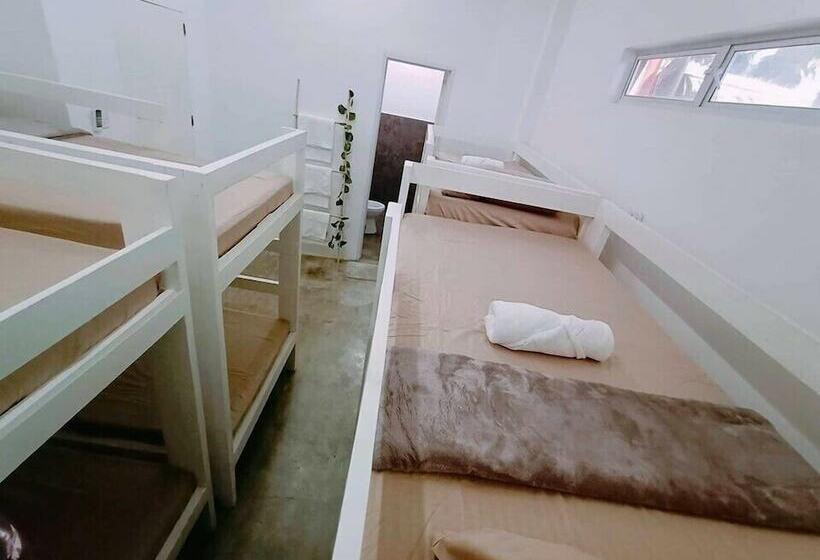 هتل Tropical Vibes Inn Siargao