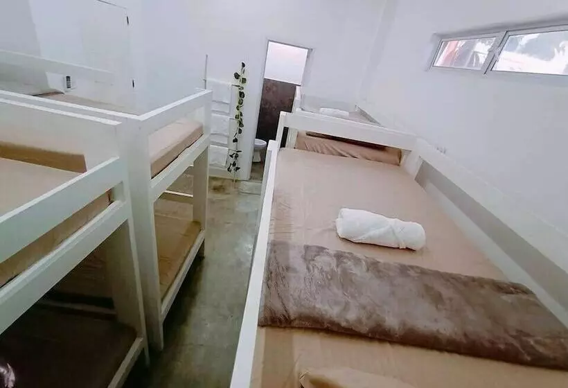 هتل Tropical Vibes Inn Siargao