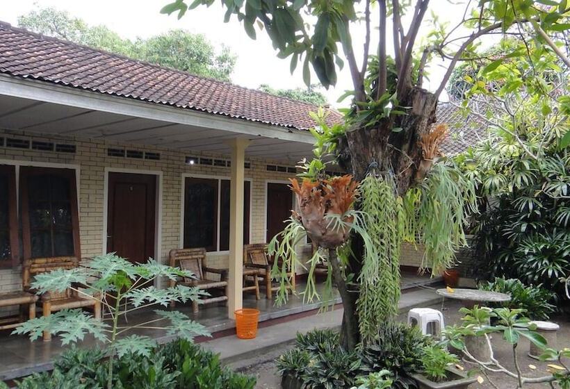 膳宿费 Oka Homestay