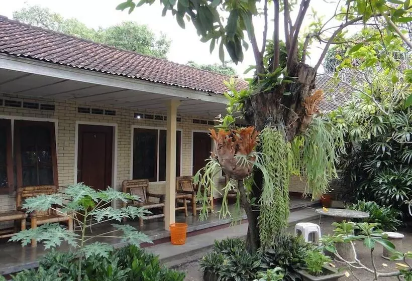ペンション Oka Homestay