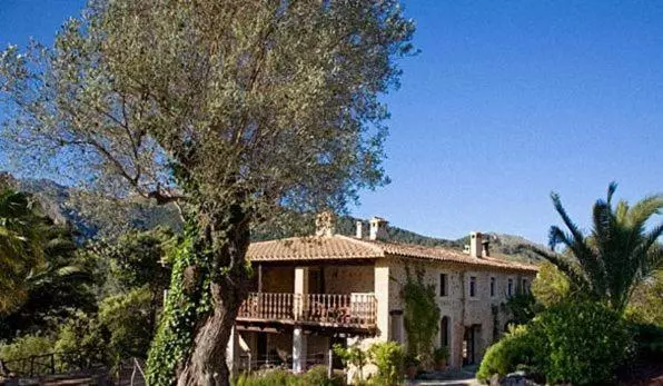 فندق Agroturismo Vall De Pollensa