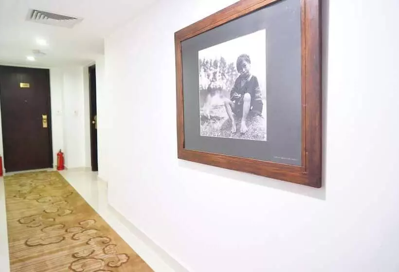 هتل Baoson International