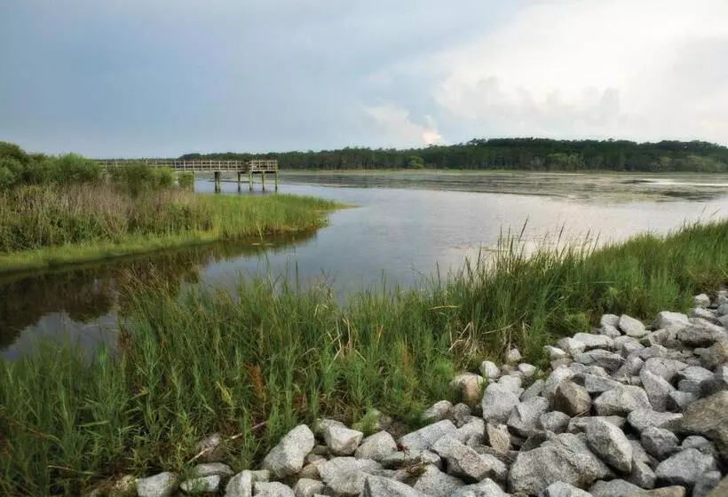 هتل Club Wyndham Towers On The Grove