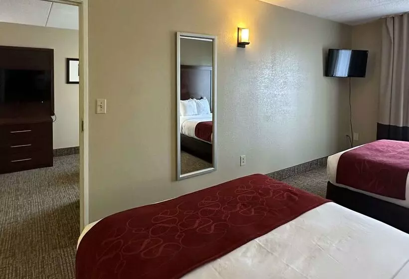 ホテル Comfort Suites Airport