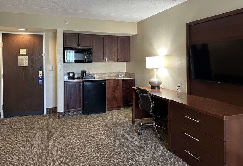 酒店 Comfort Suites Airport