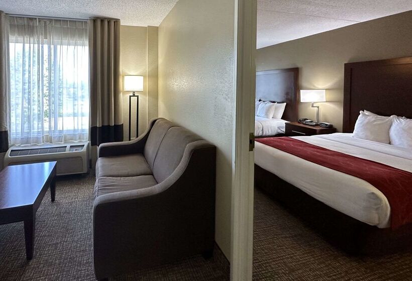 酒店 Comfort Suites Airport