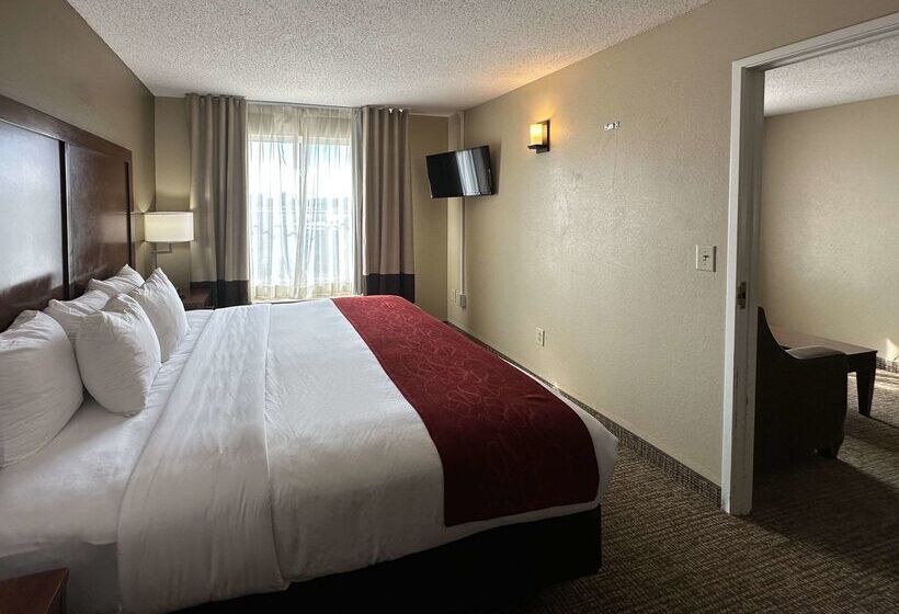 酒店 Comfort Suites Airport