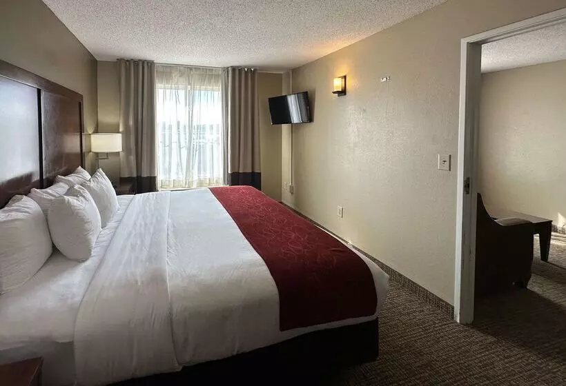 ホテル Comfort Suites Airport