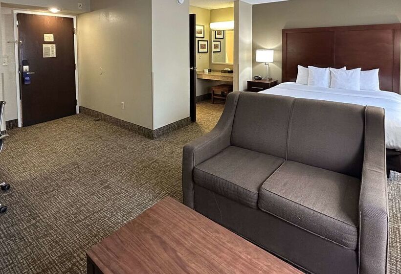 酒店 Comfort Suites Airport