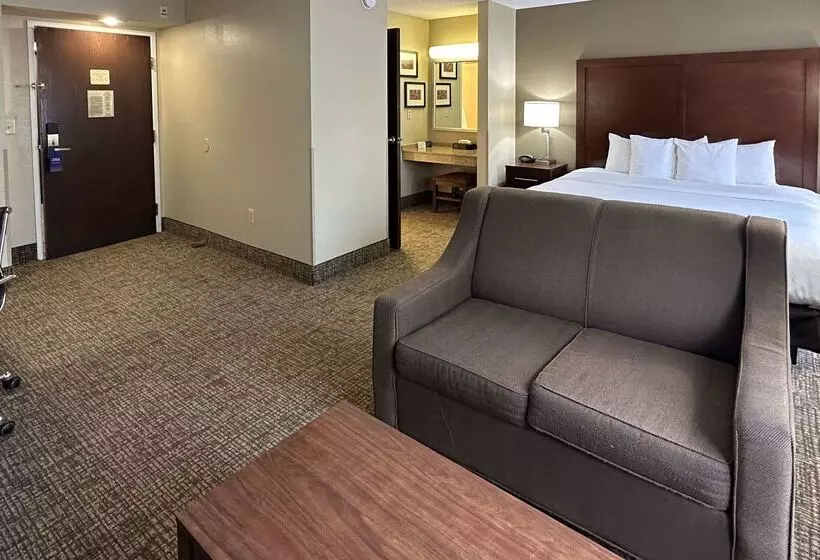 ホテル Comfort Suites Airport