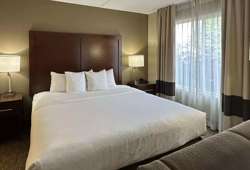 ホテル Comfort Suites Airport