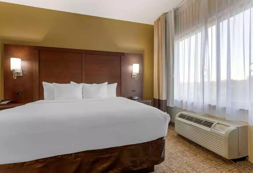 هتل Comfort Suites Little Rock West