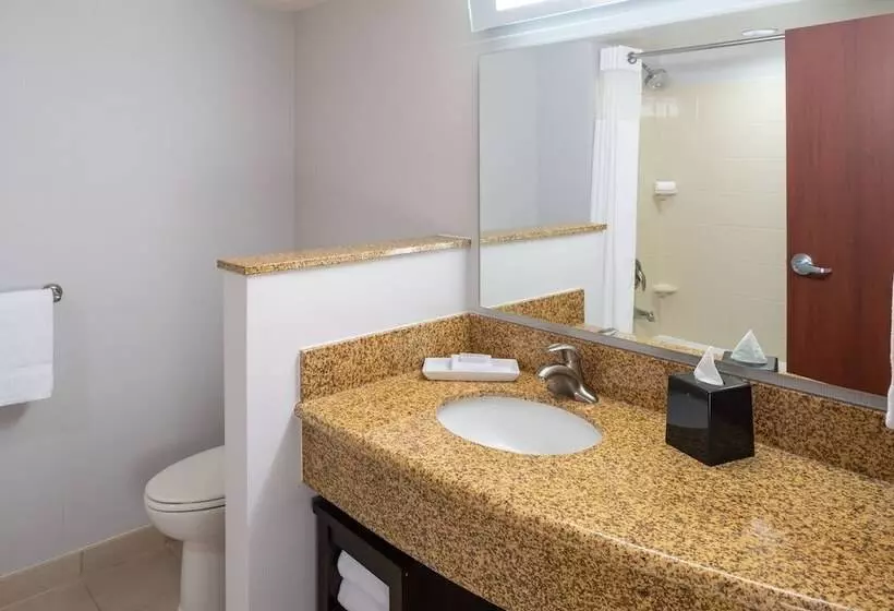 酒店 Courtyard By Marriott Miami Airport