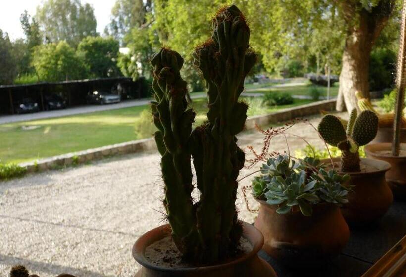 فندق El Hornero Spa