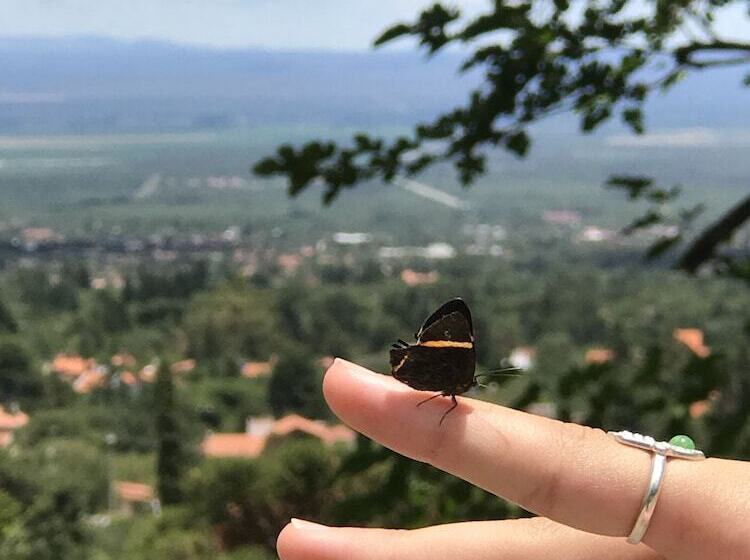 فندق El Hornero Spa