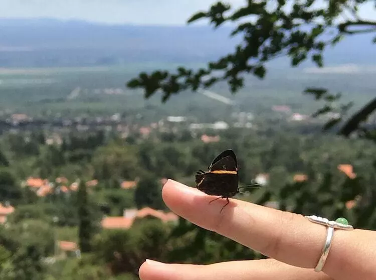 בית מלון כפרי El Hornero Spa