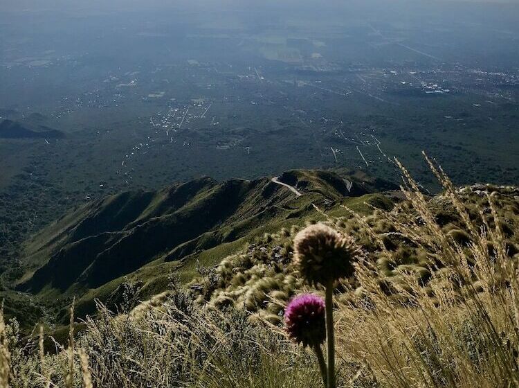 فندق El Hornero Spa