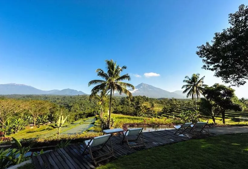 Hôtel Ijen Resort And Villas   The Hidden Paradise